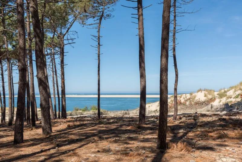 the beach petit nice, in front of the arguin sandbank and close to the dune of pilat