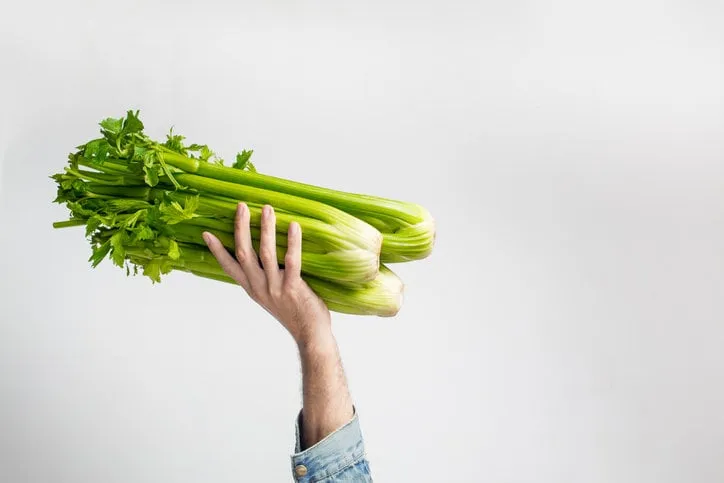man holding green fresh celery healthy eating, vegetarian food, dieting and people concept