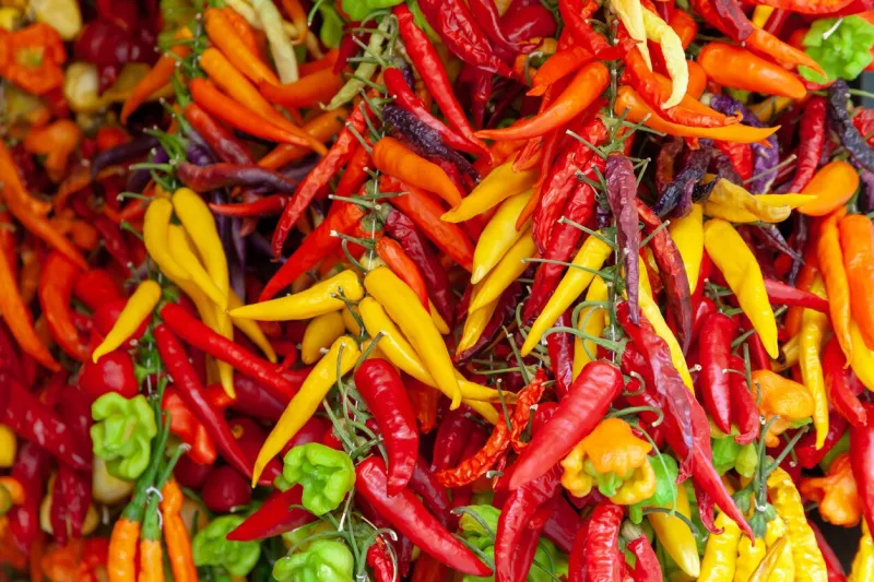 a bunch of different colorful chilies nicely arranged on a market to be sold