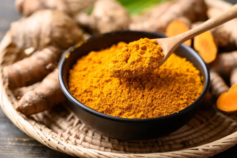 turmeric powder and fresh turmeric (curcuma, curcumin), organic ingredient in asian cuisine, food coloring or natural dyeing
