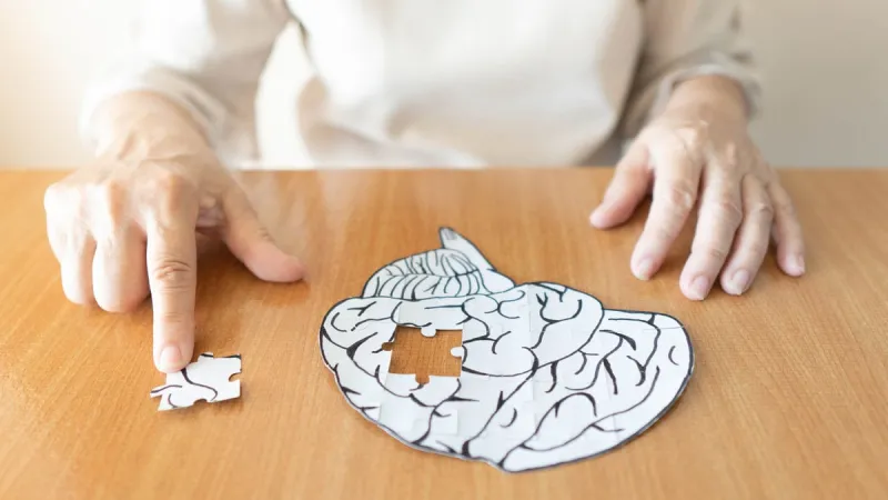 elderly woman hands putting missing white jigsaw puzzle piece down into the place as a human brain shape creative idea for memory loss, dementia, alzheimer's disease and mental health concept