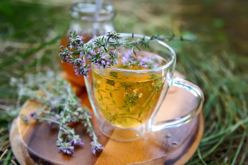 tea with wild thyme outdoors