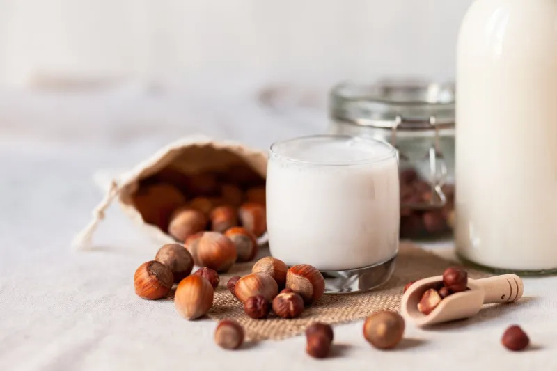 fresh organic vegan hazelnut milk alternative source of protein