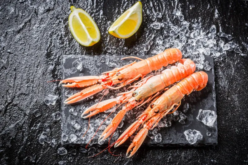 freshly caught langoustines on ice