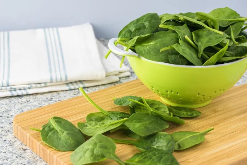 close up of baby spinach leaves in green colander
