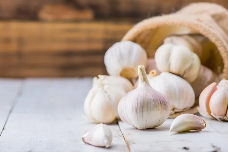 garlic cloves and bulb for food cooking in the kitchen