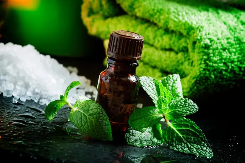 huile essentielle de menthe poivrée dans un concept spa avec serviette, sel de mer, bougies aromatiques sur un fond sombre et humide, mise au point sélective