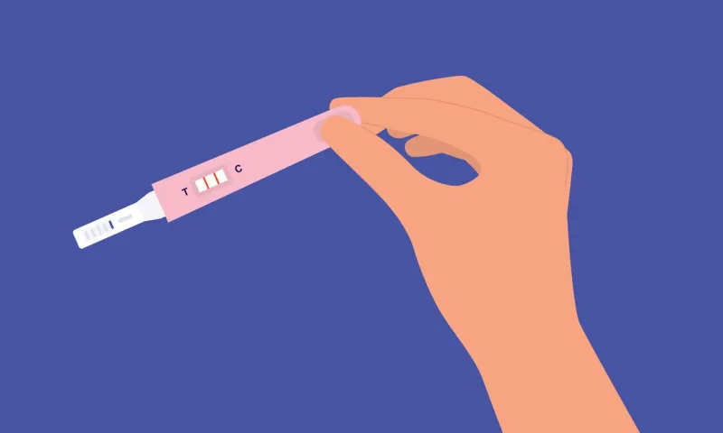a person's hand holding pregnancy self-test kit with two stripes close-up, isolated on blue background vector, illustration, flat design, character