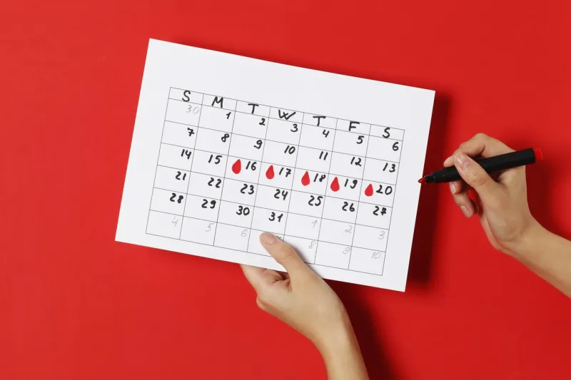 the girl notes on the calendar the days of ovulation on a red background ovulation concept menstruation concept