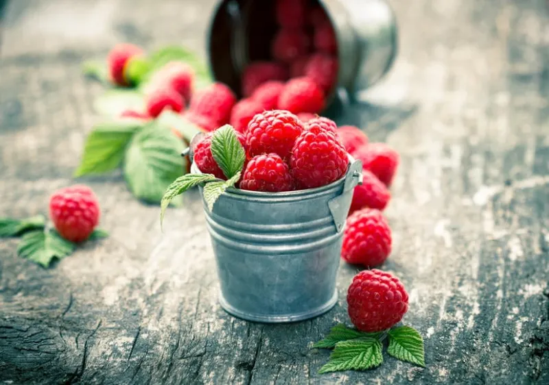 framboises dans le petit seau