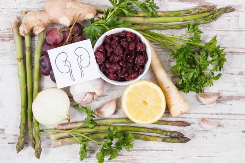 drawing of kidneys and fresh healthy eating containing natural vitamins and minerals