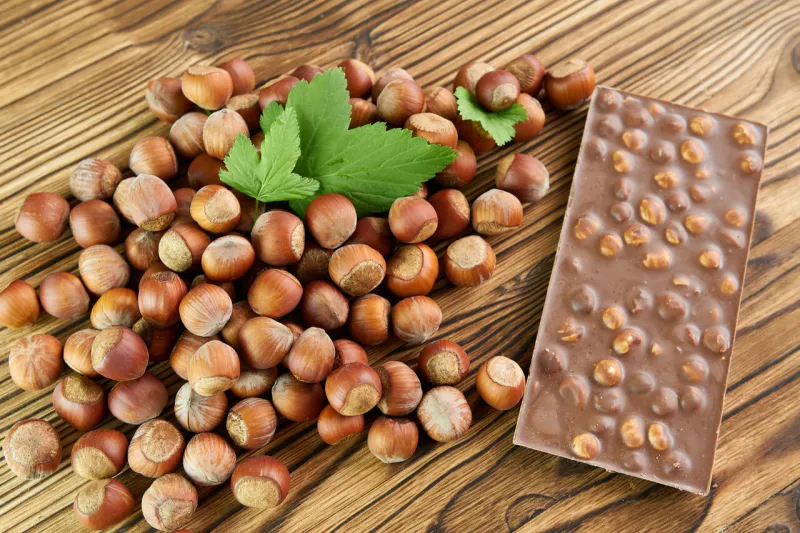 hazelnuts in the shell and milk chocolate bar with whole nuts on a wooden background the concept is a healthy selection of snacks