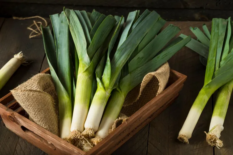 raw green organic leeks ready to chop