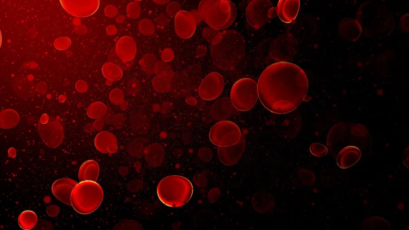 blood cells, bacteria, and virus traveling through a vein bubble air particle in the water, science biology blood cell and virus microscope view an abstract background concept