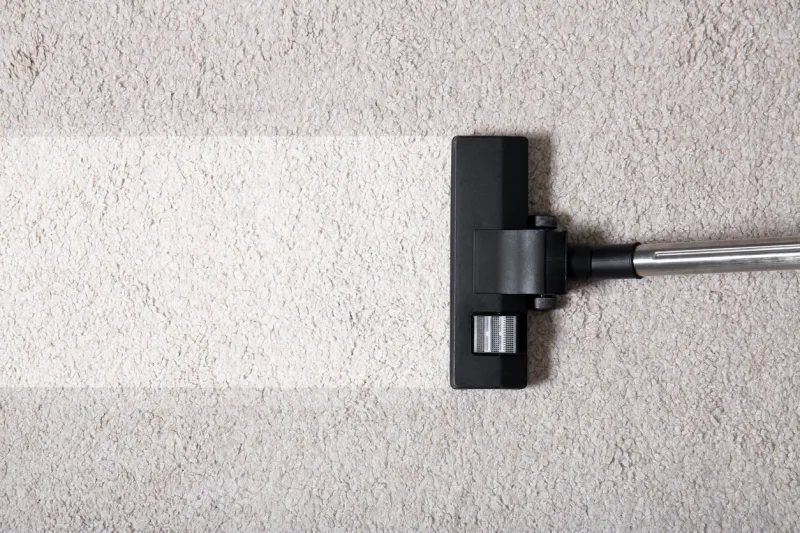 vacuum cleaner on carpet indoors, closeup cleaning service