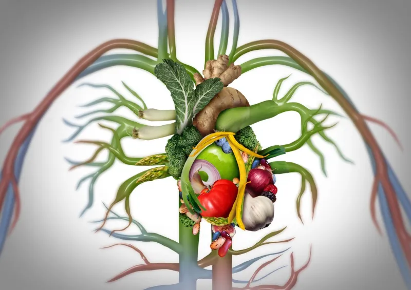 healthy heart food as a human cardiovascular organ made of fruits vegetables nuts and beans as a medical health care symbol of an inner coronary circulatory system in a 3d illustration style
