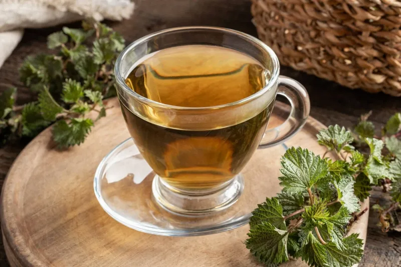 a cup of herbal tea with fresh young stinging nettles collected in spring