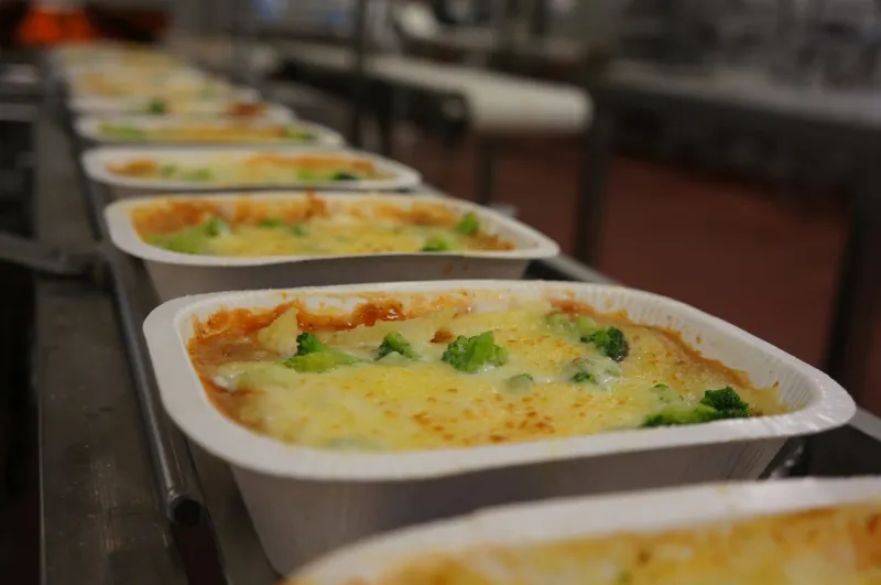 high speed factory manufacture - vegetarian meal