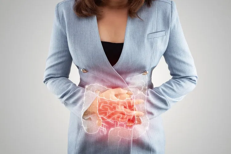 illustration of large intestine is on the woman's body business woman touching belly painful suffering from enteritis internal organs of the human body inflammatory bowel disease