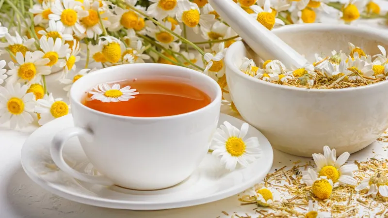 herbal tea of chamomile flower, dried daisies buds in a mortar and a bouquet of matricaria chamomilla on a concrete background healthy tea concept