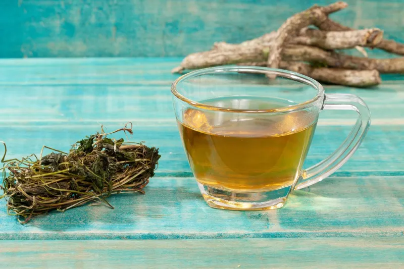 valeriana officinalis - valerian tea medicinal plant