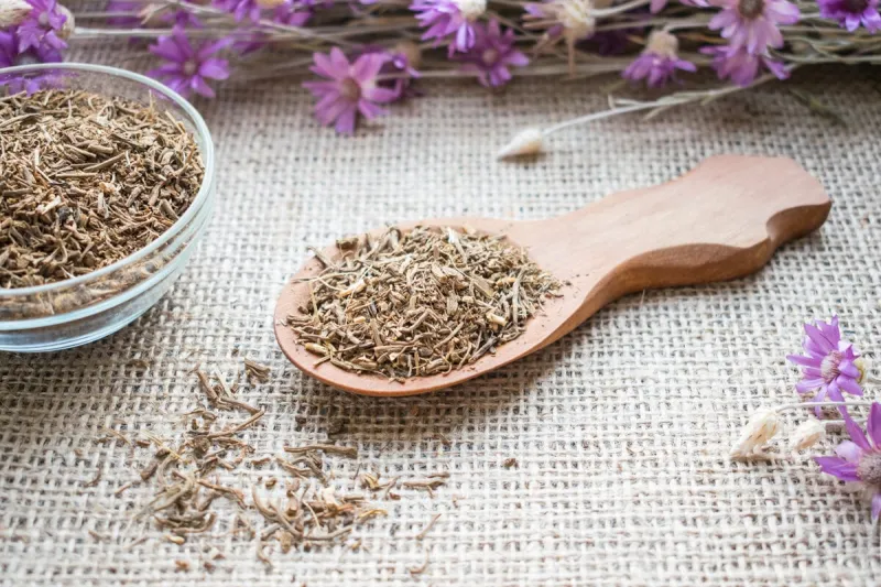 dried valerian roots in wooden spoon on sackcloth background valeriana officinalis, caprifoliaceae in herbal medicine valerian root for anxiety and sleep valerian extracts as nutritional supplement for health