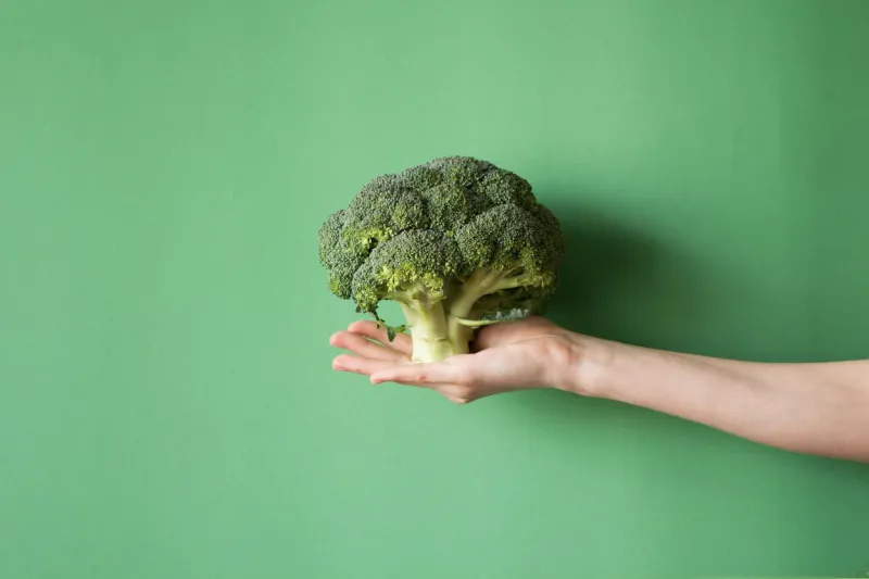 raw broccoli in hand vegeterian food or diet concept