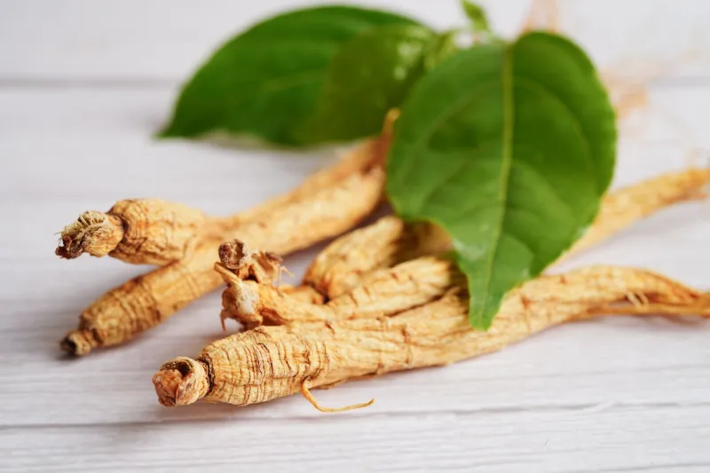 ginseng roots and green leaf, organic nature healthy food