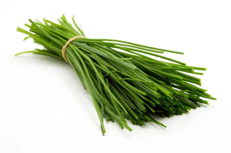 bunch of chives on a white background