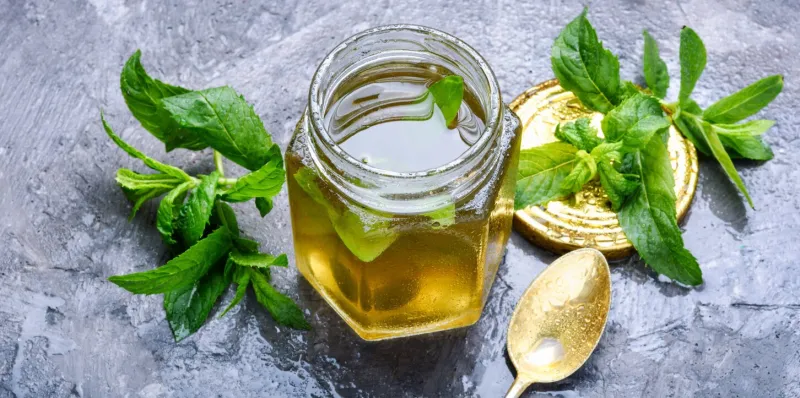 aromatic curative jam from fresh mint leavespeppermint jellygreen herbal tea