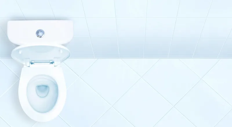 toilet in the bathroom