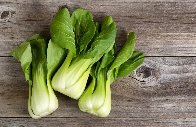 overhead shot of chinese cabbage, bok choy, on rustic wood