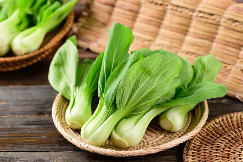 fresh bok choy or pak choi (chinese cabbage) in bamboo basket on wooden background, organic vegetables