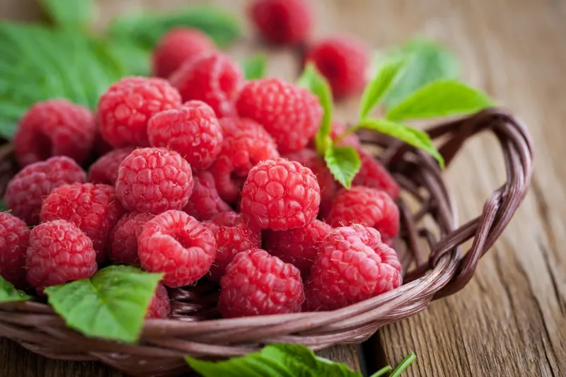 fresh organic ripe raspberry with leaf in basket, selective focus