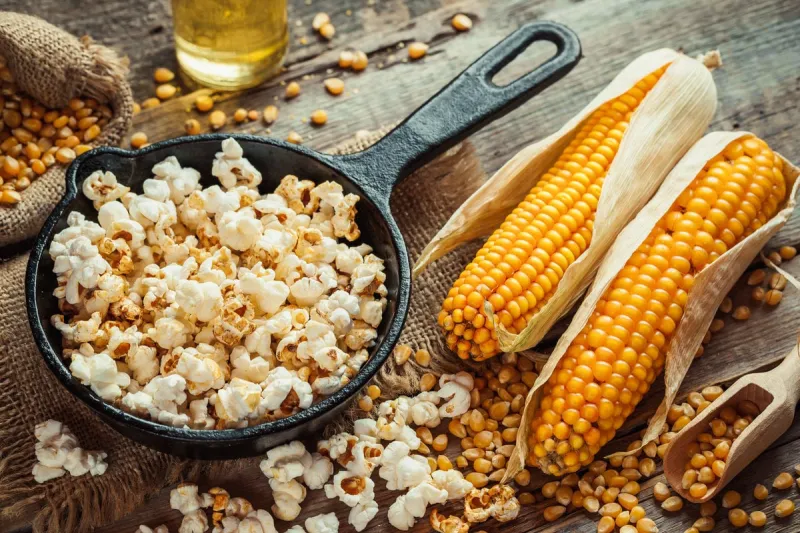 prepared popcorn in frying pan, corn seeds in bowl and corncobs on kitchen table selective focus