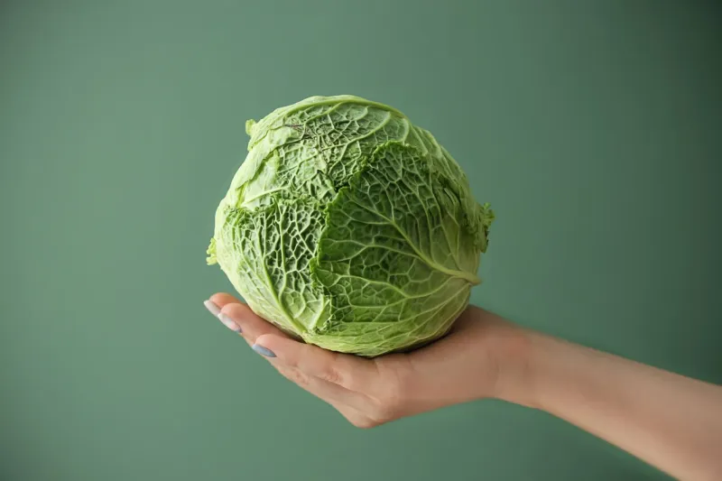 woman holding fresh cabbage on color background