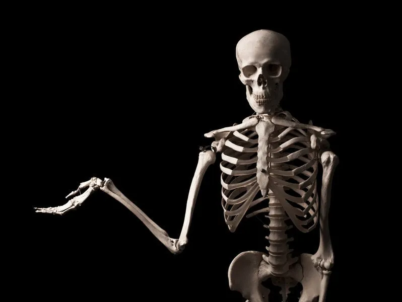 skeleton