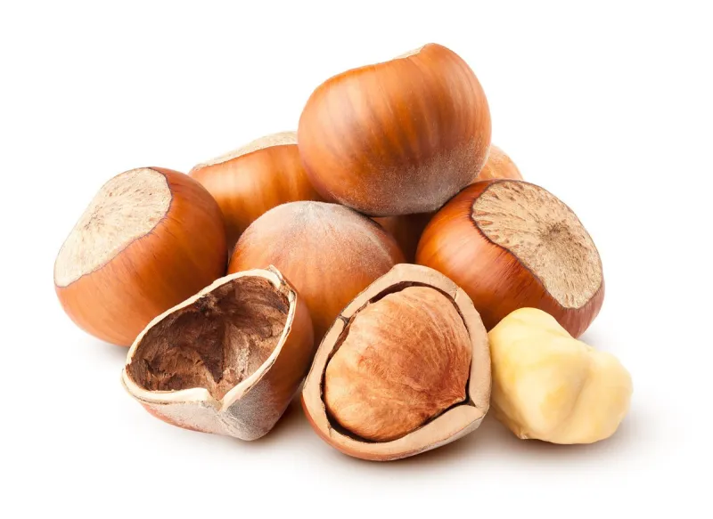 hazelnut isolated on white background, clipping path, full depth of field