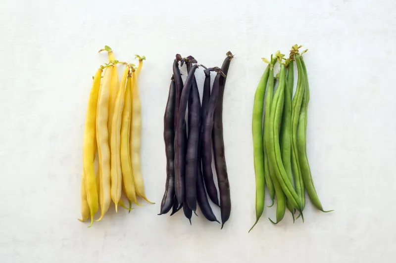 green, yellow and purple string beans on white background