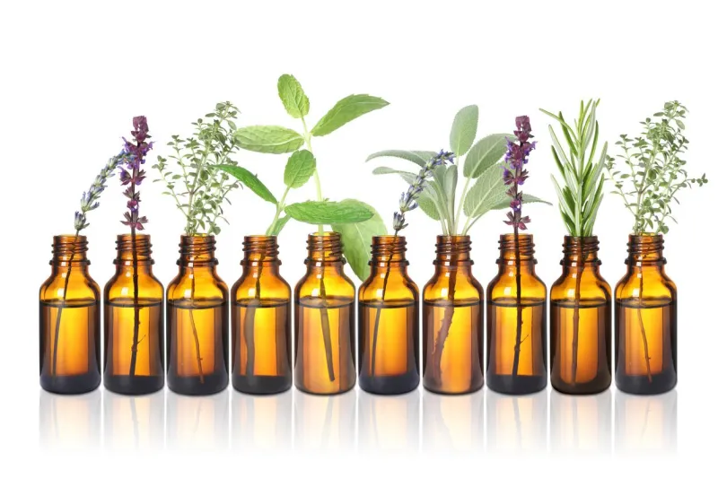 set of different essential oils with herbs isolated on white