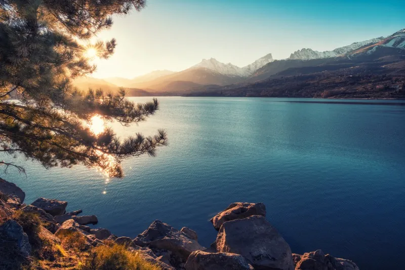 late afternoon sunshine filtering through a pine tree on the banks of lake calacuccia in corsica with snow capped paglia orba mountain in the distance