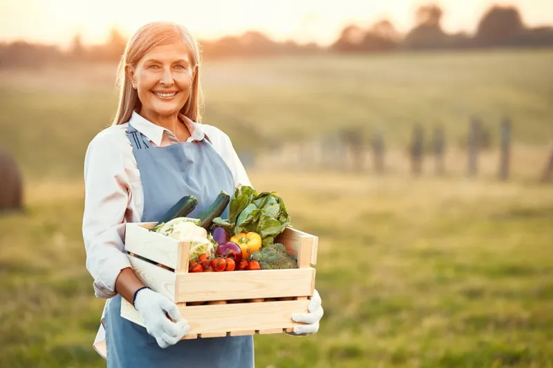 mature beautiful woman farmer holding a wooden box of harvested vegetables while standing against the background of a field agriculture and agriculture concept