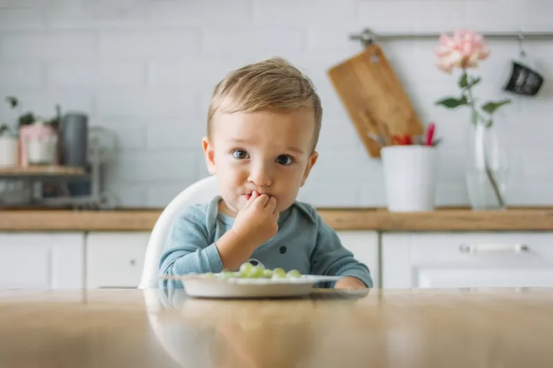 charming concentrated little baby boy eating first food green grape at the bright kitchen at home