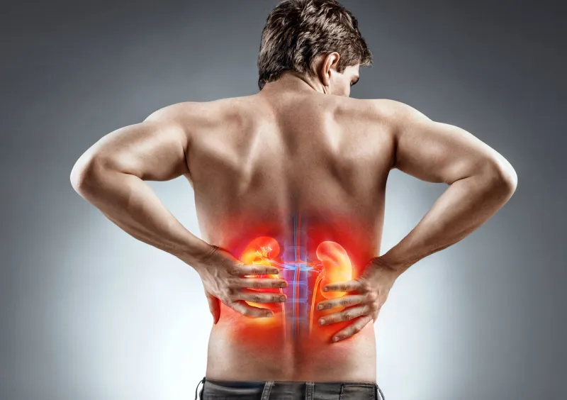 kidneys pain man holding his back medical concept