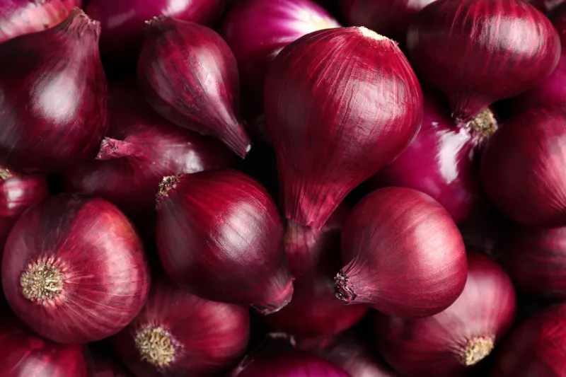 bright red ripe onions as background, top view