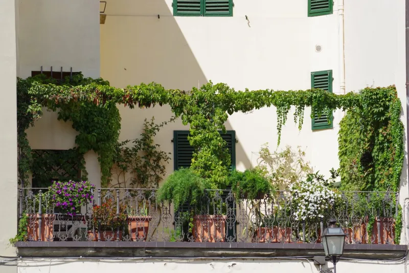 nice terrace with greenery and shade taken from the hotel room in the center of florence