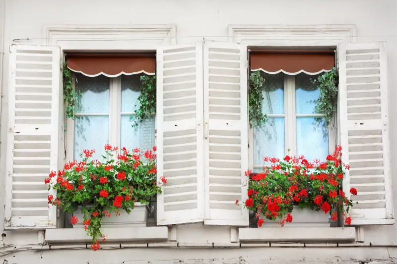 windows and balconies of old buildings in paris france