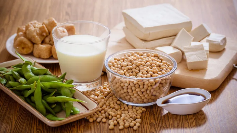 soy bean, tofu and other soy products