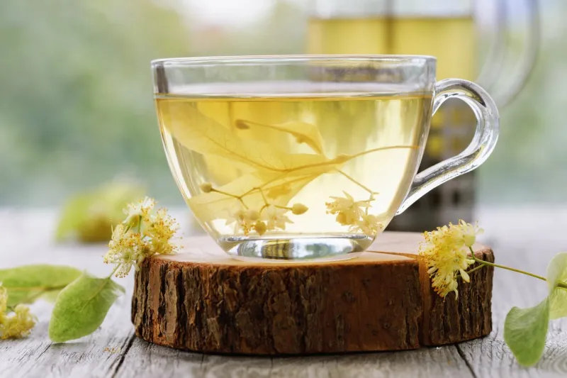 cup of fresh tea from linden leaves in transparent dishes on a wooden stand, close-up