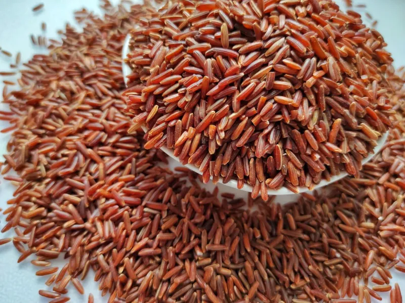 camargue brown rice in a small bowlcamargue brown rice is a variety of brown rice harvested in the camargue wetlands of southern france